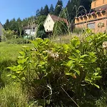 Monteur- Und Ferienunterkunft Wilhelmsfeld & Heidelberg
